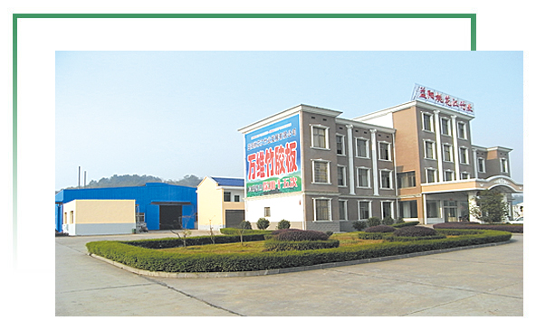 萬(wàn)維竹膠板實(shí)地看廠(chǎng)